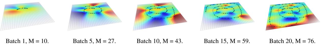 OIPS estimate. Note the sparsity and potential lack of detail.