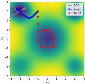 Figure 5. Optimization trajectories on a simulated loss landscape.