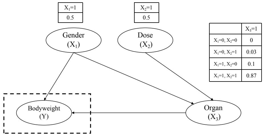 Causal network for toxicity experiment.