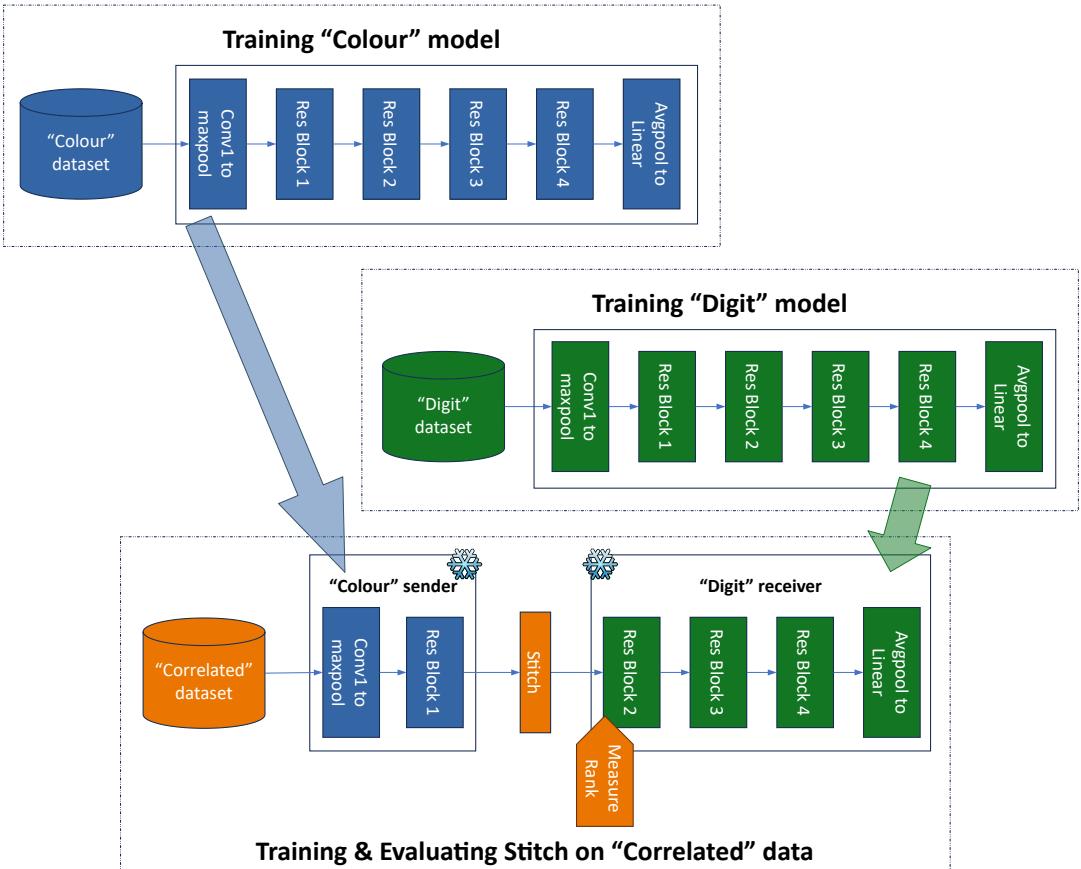 Diagram illustrating the stitching process between a Colour model and a Digit model.