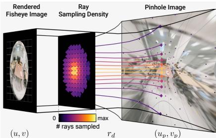 Visualizing the Fisheye 3DGS and ray sampling density.