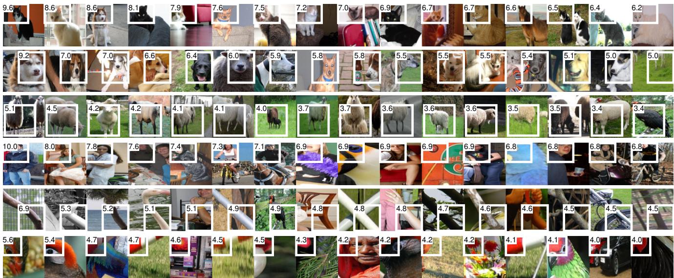 Top image patches activating six pool5 neurons. Units detect cat faces, animals, diagonal bars, or red blobs.