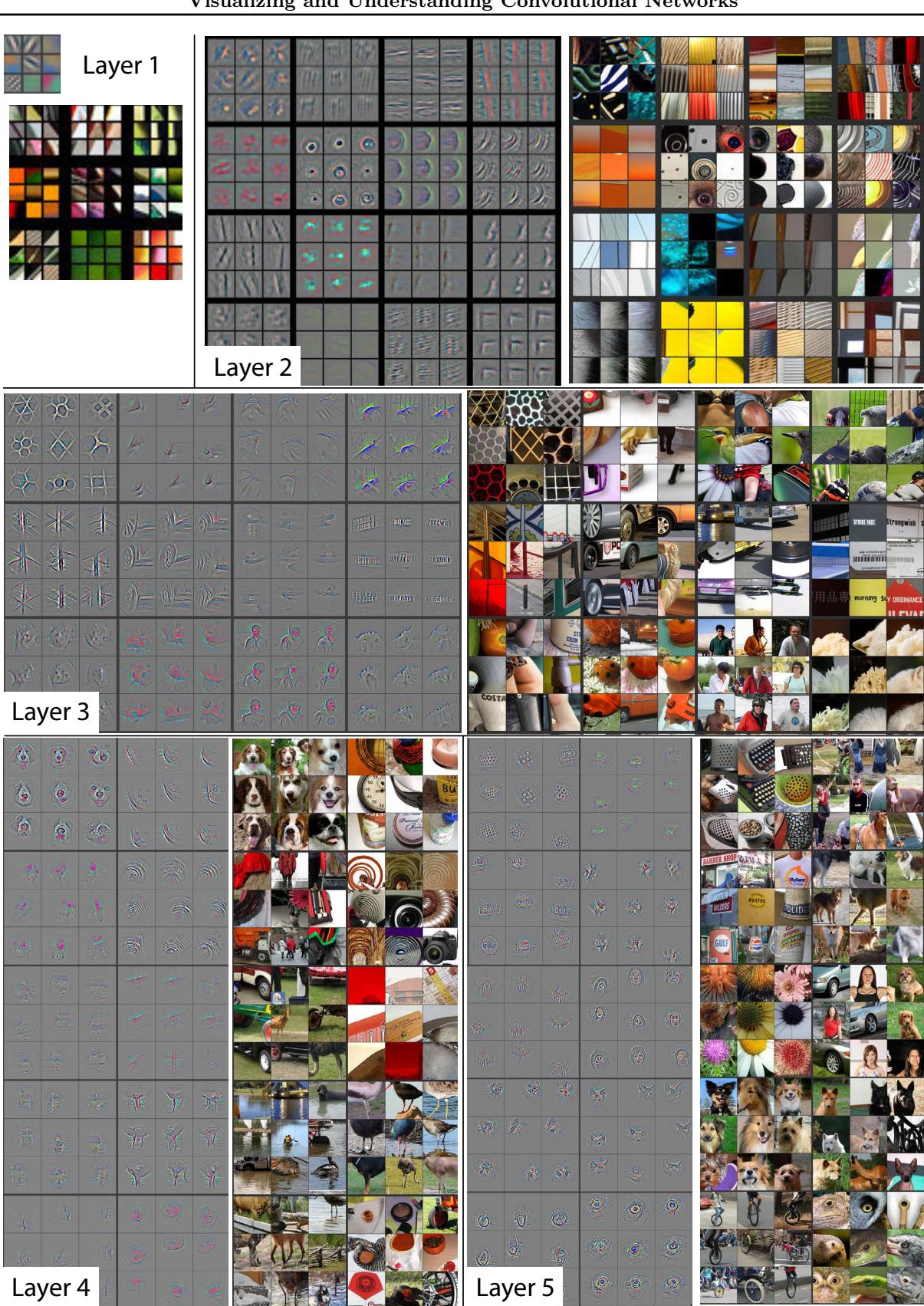 Figure 2 visualizes features from a fully trained model. Layer 2 learns corners/textures, Layer 3 captures patterns like mesh or text, Layer 4 shows class-specific parts (dog faces, bird legs), and Layer 5 responds to whole objects like keyboards and dogs, showing pose invariance.