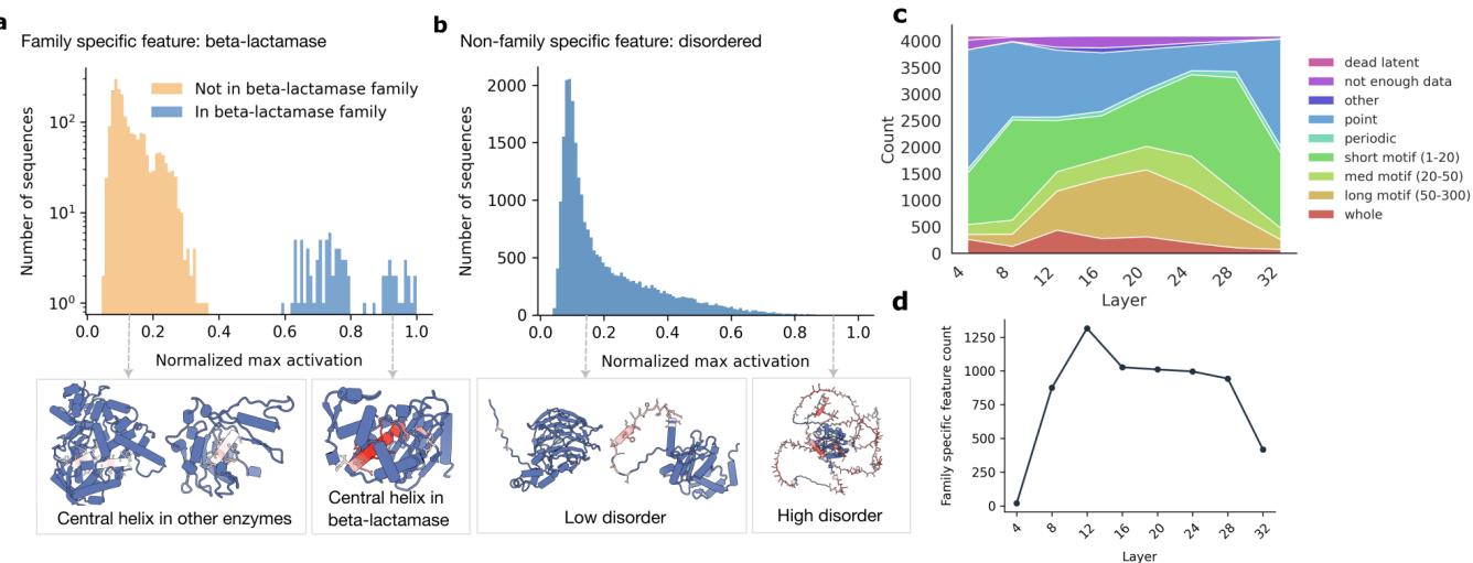 Comparison of family-specific versus non-family-specific features. Panel (a) shows a feature specific to Beta-lactamase. Panel (b) shows a generic feature for disordered regions.