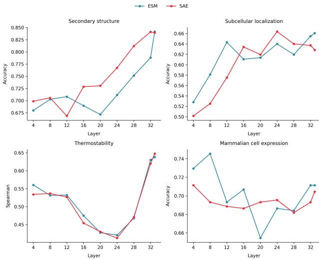 Comparison of linear probe performance on ESM embeddings versus SAE embeddings across four tasks. SAE performance is competitive with, and sometimes better than, ESM.