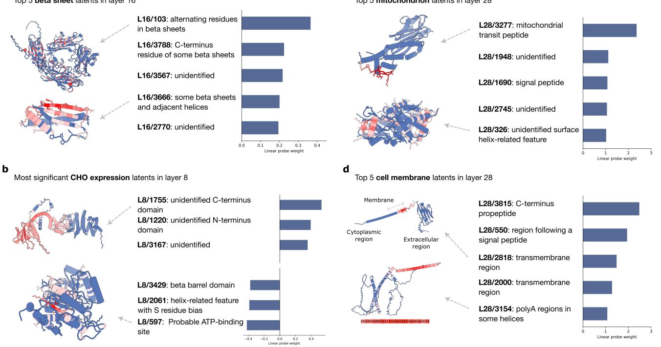 Top 5 beta sheet latents visualized.