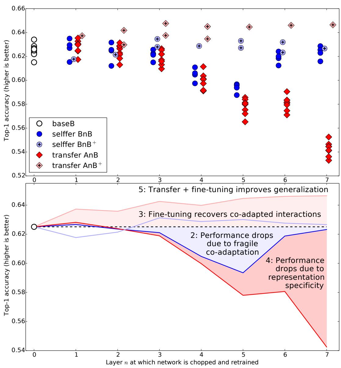 Top-1 accuracy vs. layer transfer depth for similar dataset splits. Blue shows selffer networks (BnB), red shows transfer networks (AnB), with “+” versions allowing fine-tuning. Performance drops due to fragile co-adaptation in mid-layers and specificity in later layers. Fine-tuning recovers performance and even boosts generalization.