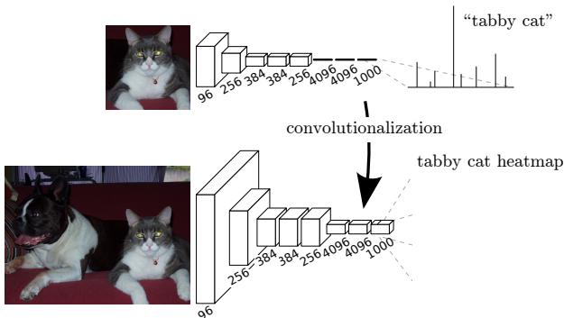 A diagram illustrating the “convolutionalization” process. A standard classification network is transformed into a fully convolutional one, allowing it to output a spatial heatmap for a given class (e.g., “tabby cat”) instead of a single score.