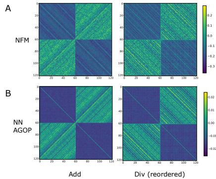 Figure 6. Neural Feature Matrices (NFM) and NN AGOPs showing the same striped patterns as RFM.