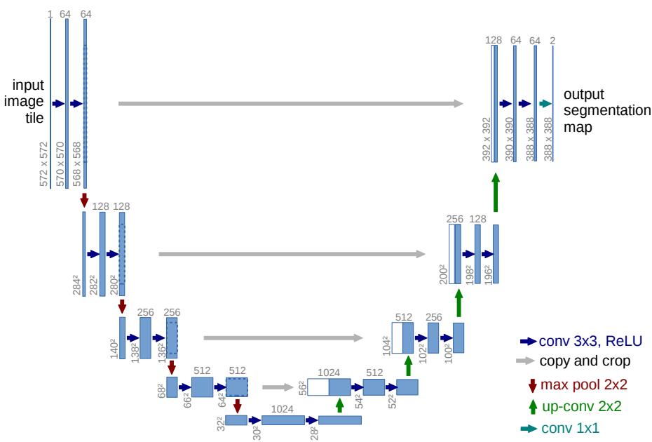 The U-Net architecture: contracting path (encoder) on the left, expansive path (decoder) on the right, connected by skip connections. Blue boxes show feature maps; gray indicates copied feature maps; arrows indicate operations.