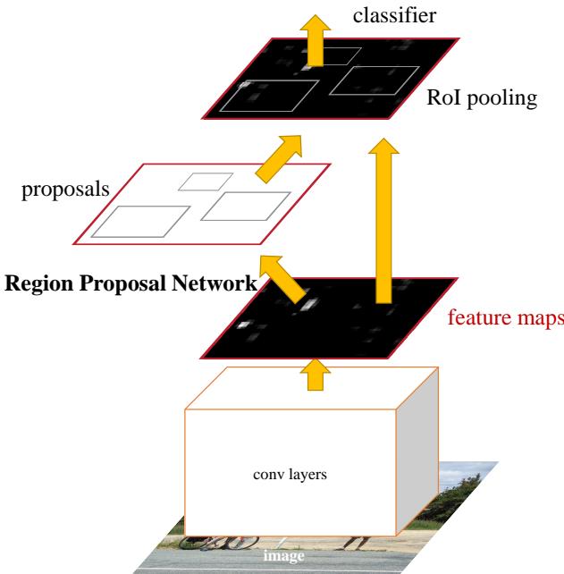 The Faster R-CNN architecture is a single, unified network. It consists of shared convolutional layers (the backbone), a Region Proposal Network (RPN) that acts as an ‘attention’ mechanism to propose regions, and a final classifier that operates on those regions.