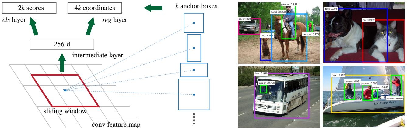 On the left, the RPN architecture shows a sliding window over a feature map, which feeds into an intermediate layer and then splits into two heads: a classification (cls) layer for objectness scores and a regression (reg) layer for box coordinates. On the right, example detections show the model’s ability to find objects of various sizes and aspect ratios.