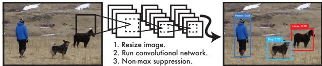 A simple three-step diagram showing the YOLO pipeline: resize image, run a single convolutional network, and then threshold the detections to get final bounding boxes on an image of a person walking two dogs.