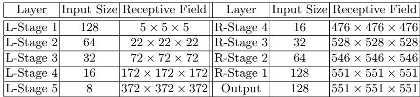 Theoretical receptive fields per network stage, showing expansion across the architecture.