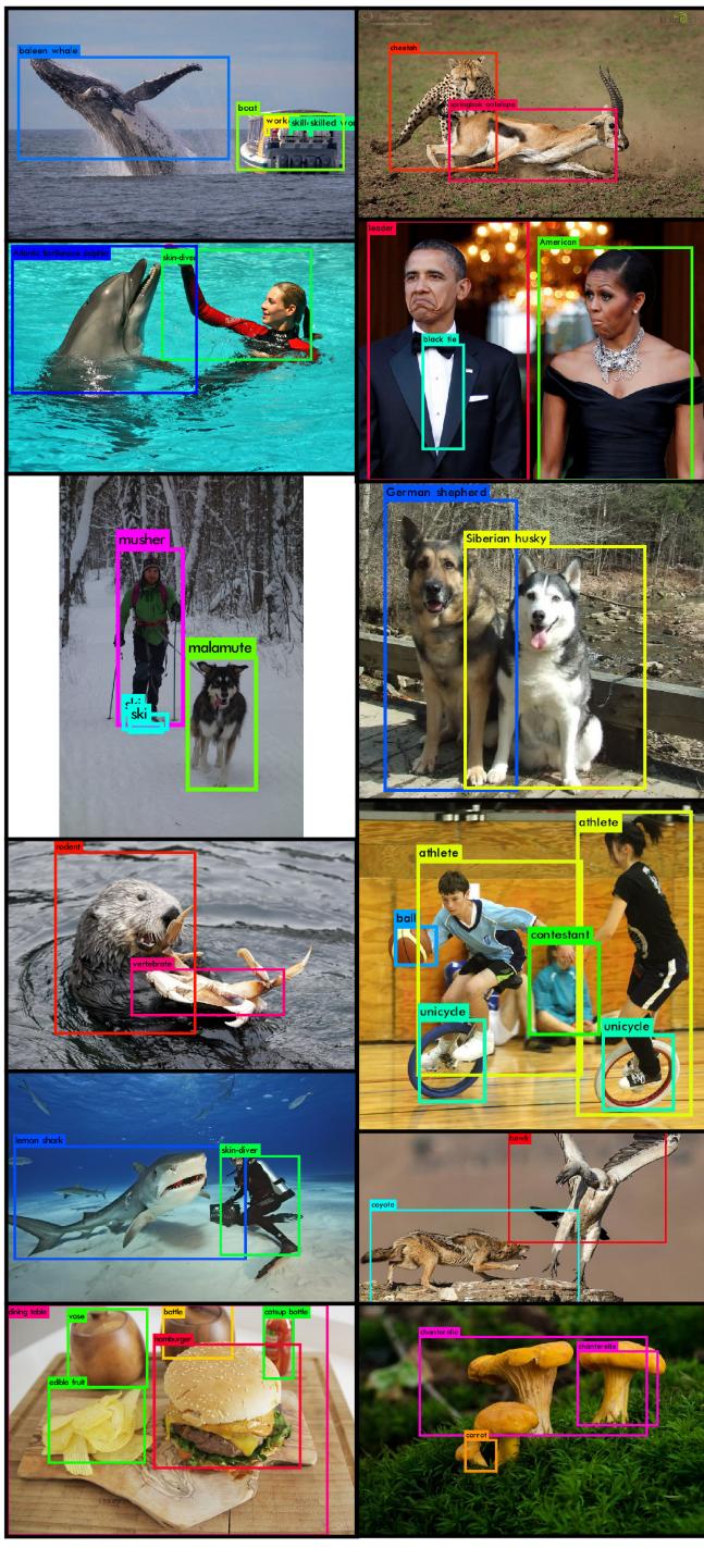 A collage of images showing YOLO9000 detecting a wide variety of objects, including whales, cheetahs, dogs, sharks, food items, and people, all labeled with colored bounding boxes.