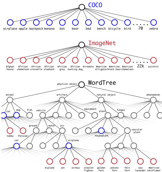Diagram showing COCO and ImageNet label spaces merged into the unified WordTree hierarchy.