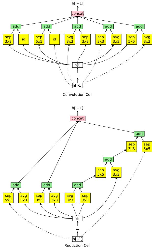 Normal and Reduction Cells discovered in micro search space.