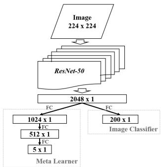 实验架构示意图。ResNet-50处理224×224输入图像，生成特征向量后分别送入元学习器分支 (三层全连接网络) 和图像分类分支。