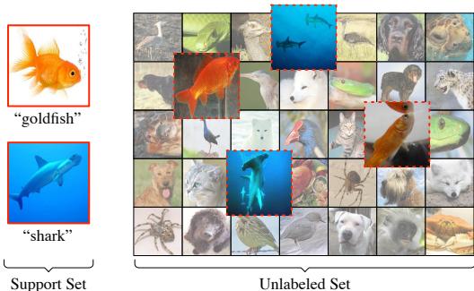 图1: 半监督小样本学习问题的直观表示。给定一个小的有标签支持集 (如金鱼和鲨鱼) ,目标是利用一个大的无标签图像集来帮助分类新的、未见样本。无标签集中既包含相关样本 (红色边框) ,也包含其他类别的无关干扰项。