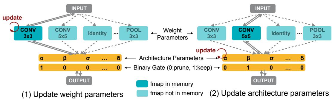 The two-step training process of ProxylessNAS. In one step, weight parameters are updated for a sampled architecture. In the other step, the architecture parameters are updated.