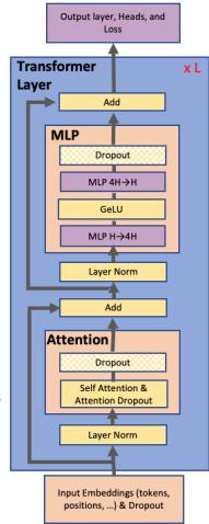 A diagram showing the standard Transformer architecture, with repeating layers of Self-Attention and MLP blocks, surrounded by residual connections and layer normalization.