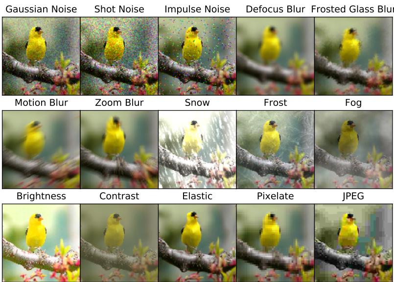 A grid of images showing a bird under various corruptions, including noise, blur, snow, fog, and pixelation. This illustrates the types of distribution shifts TTT is designed to handle.
