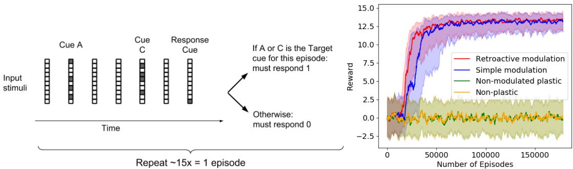 Task schematic and results: The left panel illustrates cue presentation and response phases. The right panel plots reward versus training episodes, showing that neuromodulated models (red, blue) rapidly achieve high reward while others plateau.