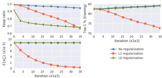ResNet20 上无正则化、L2 正则化与 L0 正则化的对比研究。图显示训练迭代中保留率、准确率与权重幅度变化。
