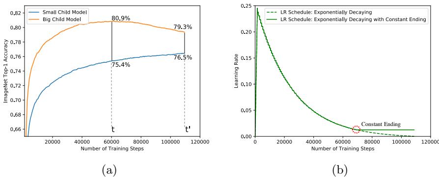 The convergence dilemma in single-stage training. Big models peak early while small models are still learning. A modified learning rate schedule helps address this.
