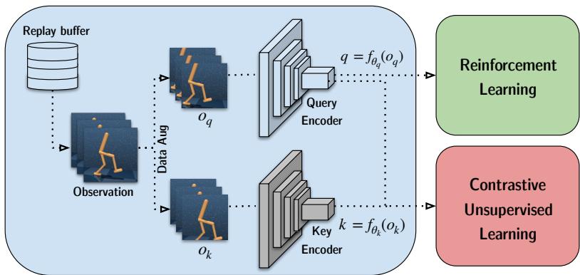 The CURL architecture diagram. A batch is sampled from the replay buffer, augmented into query and key observations, and passed through respective encoders. The query is used for RL, while both query and key pairs are used for the contrastive loss.