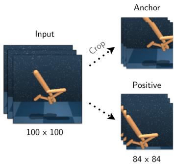 A visual example of the random crop augmentation. An input image is cropped twice to create an anchor (query) and a positive (key).