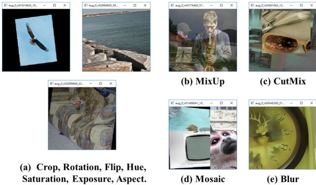 Figure 7 shows a visual gallery of different data augmentation techniques, including standard transformations, MixUp, CutMix, Mosaic, and blurring.