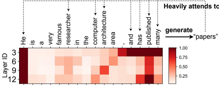 Cumulative importance scores over layers; important tokens remain constant.
