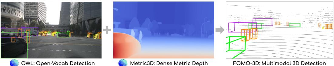 Comparison of Vision Foundation Models and FOMO-3D.