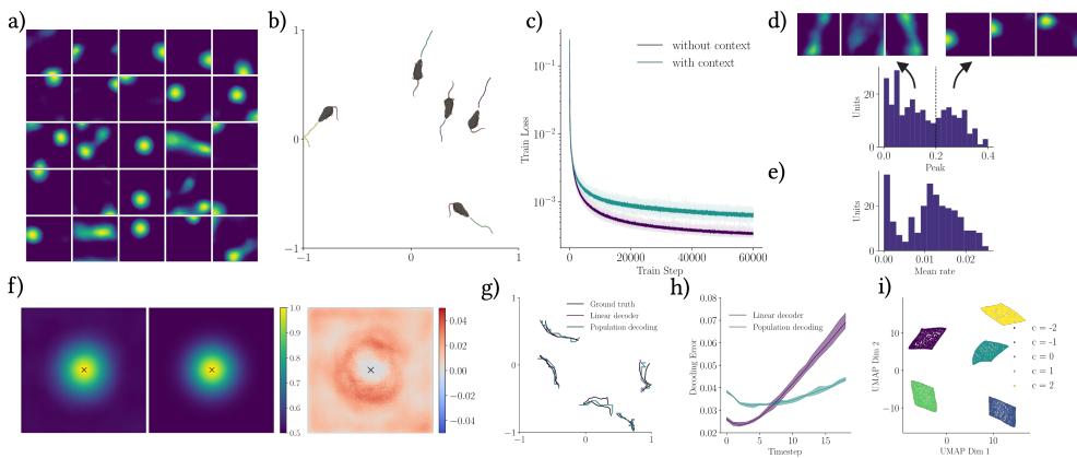 Results from the recurrent network. Panels (a–i) show place and band cells, path integration performance, and distinct context maps in reduced dimensions.