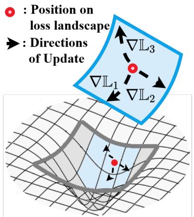 不同任务的梯度可能相互冲突,使更新过程变得困难。