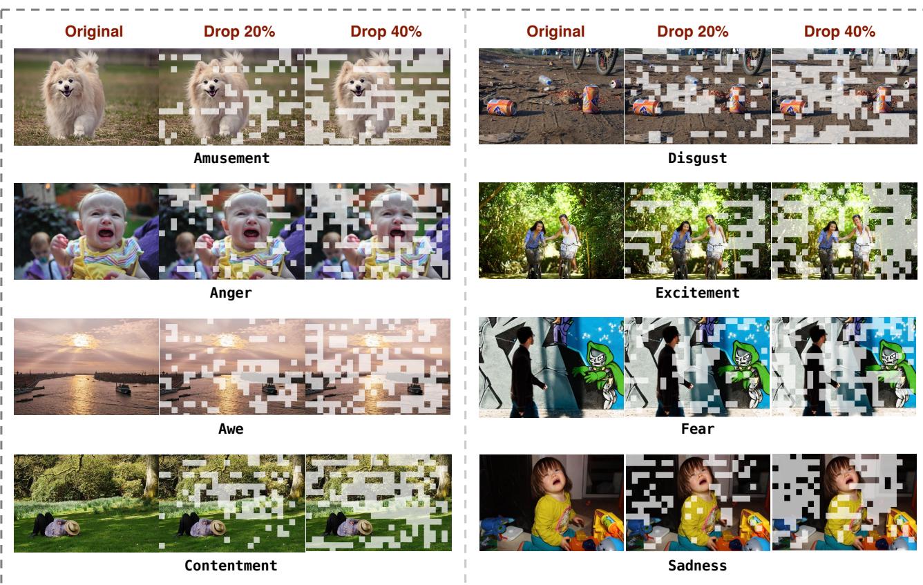 Visualization of images with tokens dropped at 20% and 40% rates, showing how background noise is pixelated out while emotional cues remain.