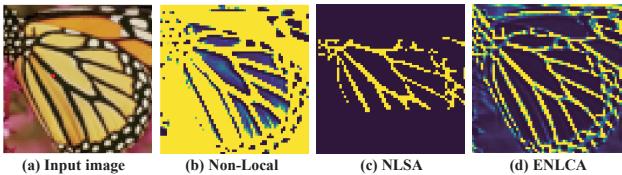 The visualization of correlation maps for different attention mechanisms on a butterfly wing. Non-Local attention is diffuse, NLSA misses some features, while ENLCA focuses on the relevant vein patterns.