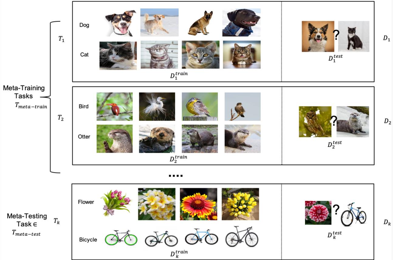 一张图表展示了元学习的设置。上半部分描述了元训练任务，模型从多个小分类问题中学习，如狗 vs. 猫和鸟 vs. 水獭。下半部分展示了在新任务 (如花 vs. 自行车) 上的元测试。