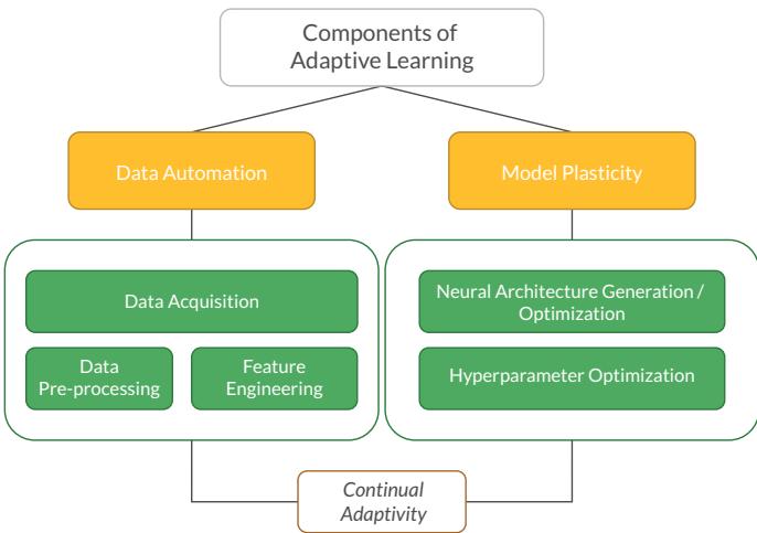 CANNs 的分类图,展示数据自动化与模型可塑性两大分支汇入持续自适应循环。