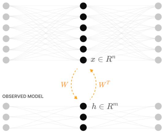 线性模型与 ReLU 输出模型在不同稀疏度下的对比。