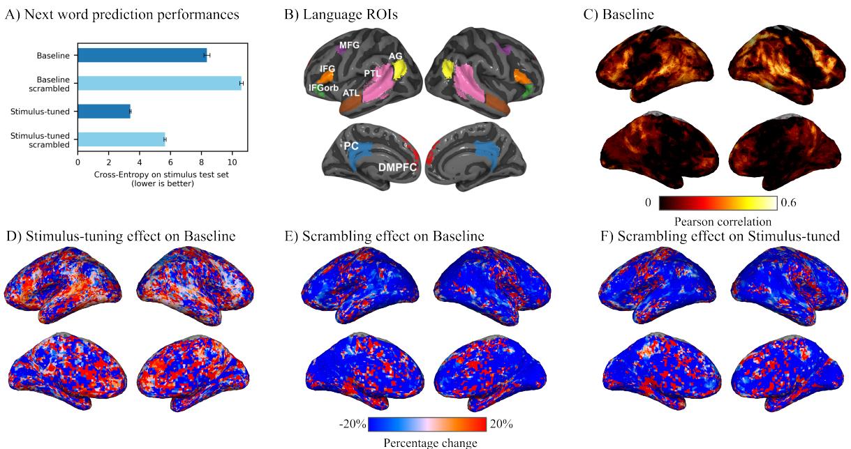 展示下一个词预测性能和大脑地图上的大脑一致性的图表。