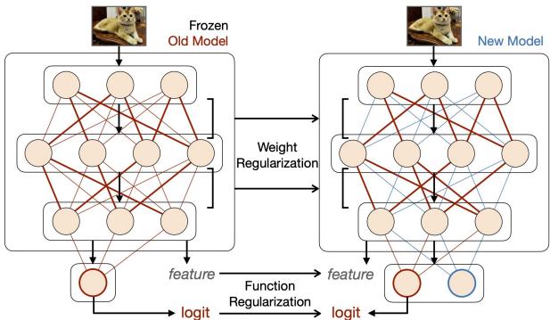 基于正则化的方法使用旧模型的冻结副本来指导新模型训练，通过惩罚重要权重变化 (权重正则化) 或确保输出相似 (功能正则化) 。