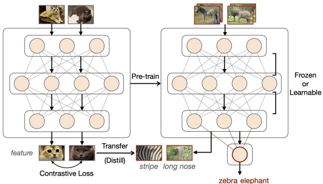基于表示的方法专注于学习鲁棒特征，常通过自监督预训练，然后持续微调下游任务。