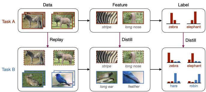 一张图示，展示了 CIL 策略如何作用于数据空间 (回放) 、特征空间 (蒸馏) 和标签空间 (蒸馏) 以减少遗忘。