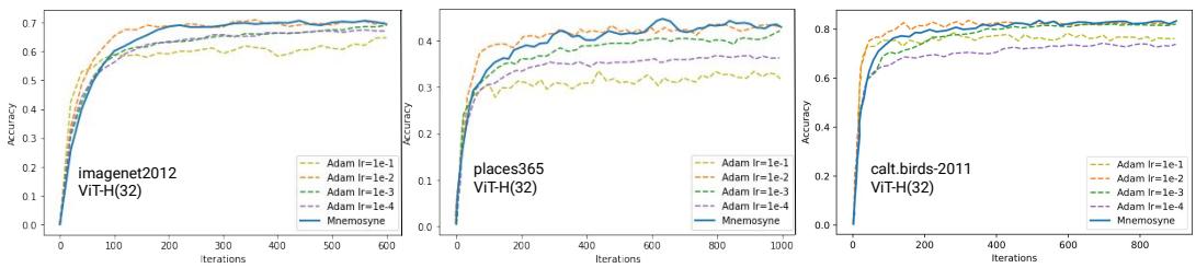在多个数据集上微调 ViT-H 模型的准确率曲线。无需手动调参，Mnemosyne 的性能与最佳学习率的 Adam 相当或更优。