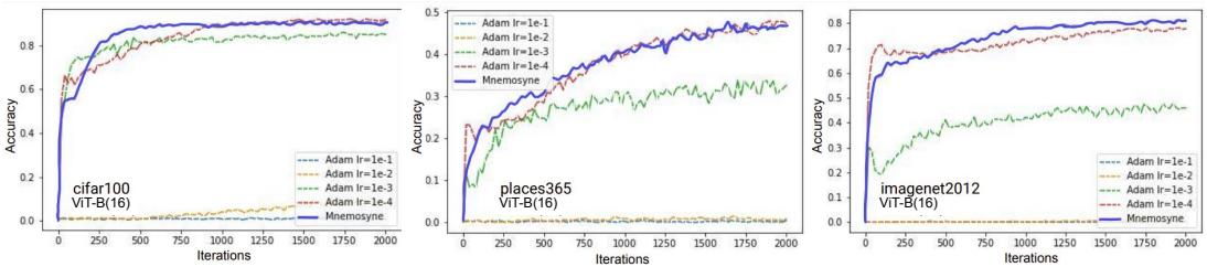 在多个数据集上微调 ViT-B 模型的准确率曲线。超级 Mnemosyne 的表现始终达到或超过最高性能的 Adam 变体。