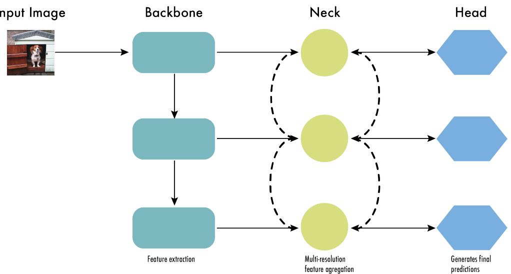 Diagram showing backbone, neck, and head roles.
