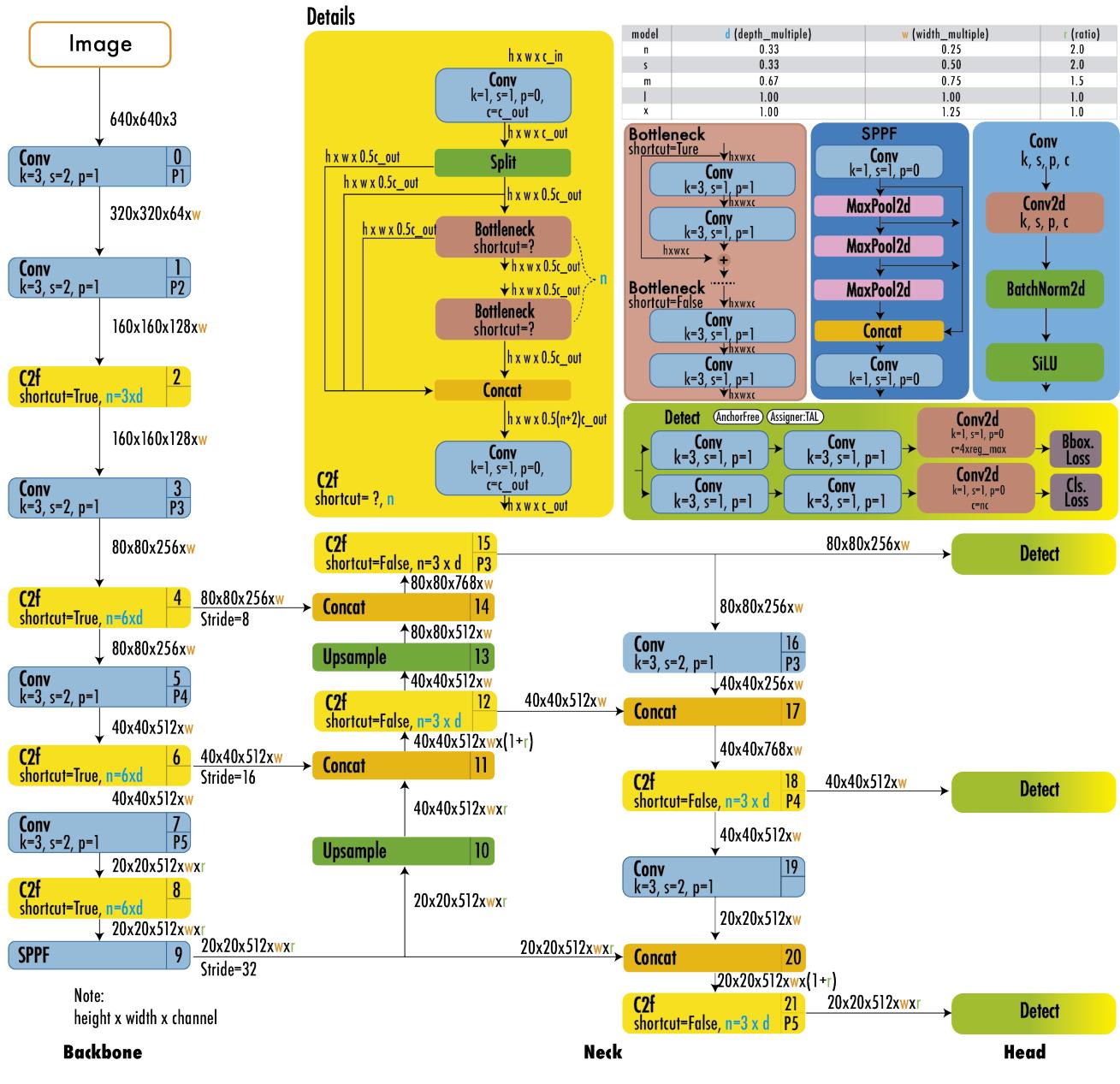 YOLOv8 architecture.