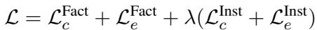 结合事实损失和实例损失的总损失函数。